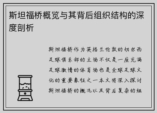 斯坦福桥概览与其背后组织结构的深度剖析